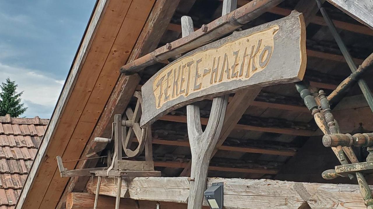 Casa Rustic Feher & Fekete Vendeghazak Sovata Dış mekan fotoğraf