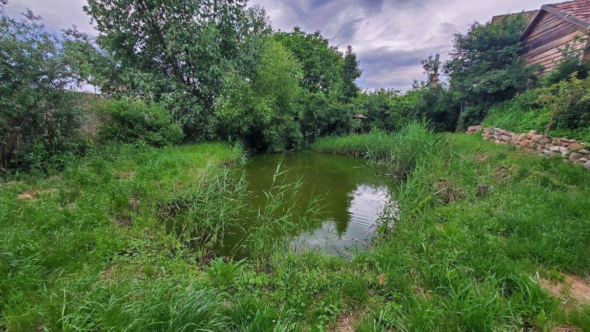 Casa Rustic Feher & Fekete Vendeghazak Sovata Dış mekan fotoğraf